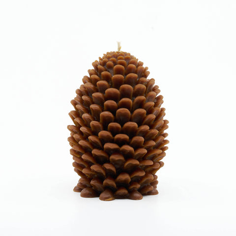 Pine cone-shaped candle on a white background