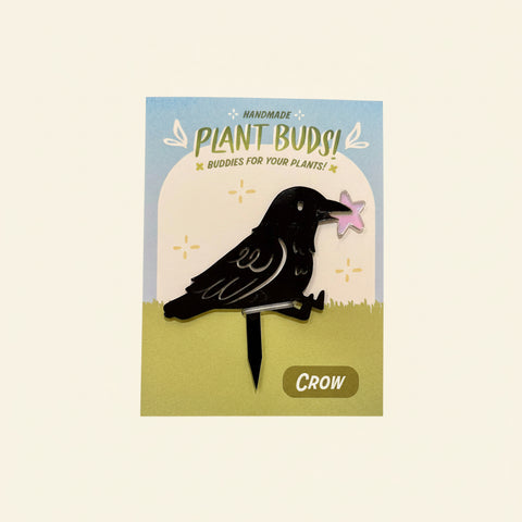 Crow Plant Bud