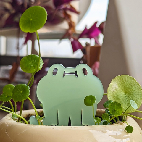 Froggy Plant Buds