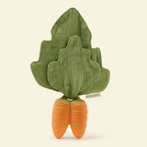 Cathy the Carrot Mini Doudou Teether - The WonderMart