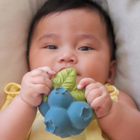 Jerry the Blueberry Teether Toy
