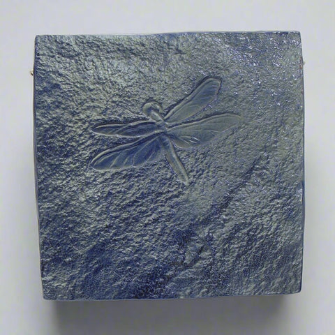 Dragonfly Petroglyph No. 1231 - The WonderMart