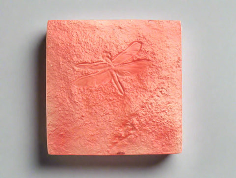 Dragonfly Petroglyph No. 1276 - The WonderMart