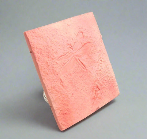 Dragonfly Petroglyph No. 1276 - The WonderMart