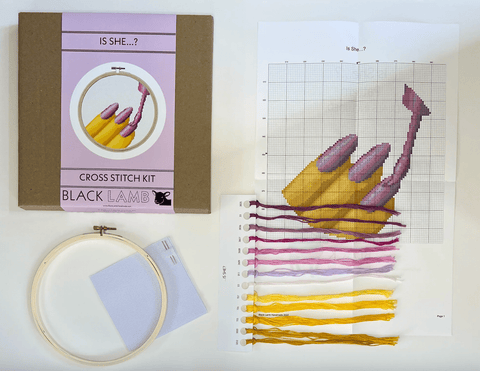 Is She...? Cross Stitch Kit - The WonderMart