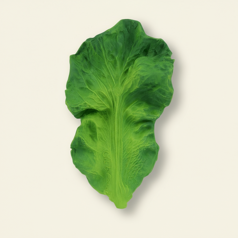 Kendall the Kale Teether Toy - The WonderMart