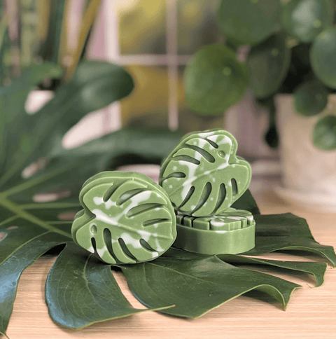 Monstera Leaf Soap - The WonderMart