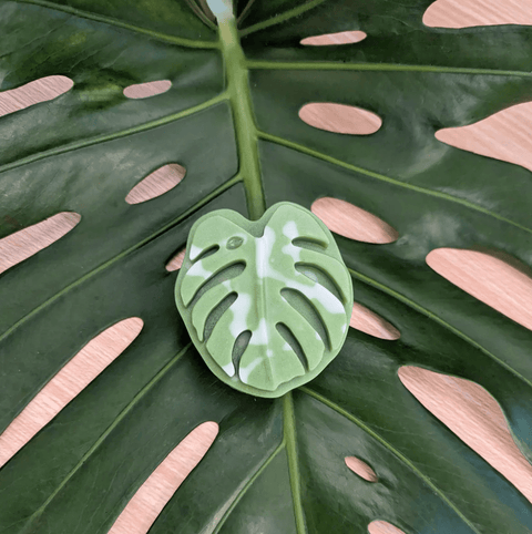 Monstera Leaf Soap - The WonderMart