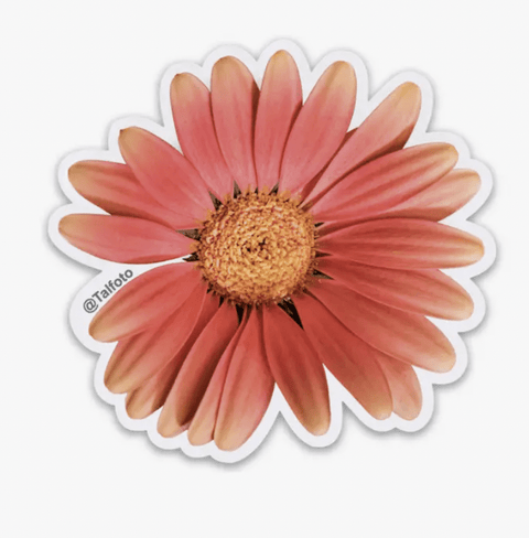 Orange Gerber Daisy Sticker - The WonderMart