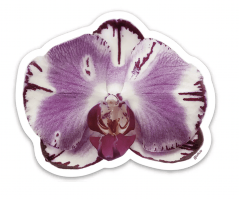 Purple Orchid Sticker - The WonderMart