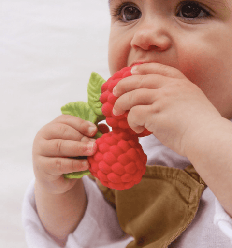 Valery the Raspberry Teether Toy - The WonderMart