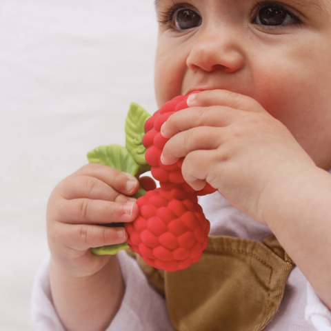 Valery the Raspberry Teether Toy - The WonderMart