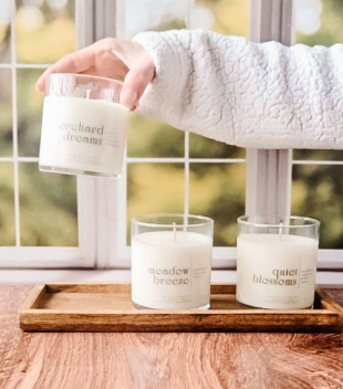 SOUTH SHORE SCENTS CO.