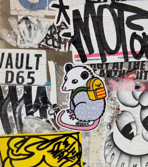 HISS ART