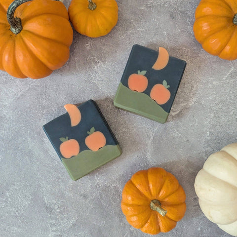 Pumpkin Patch Soap Bar
