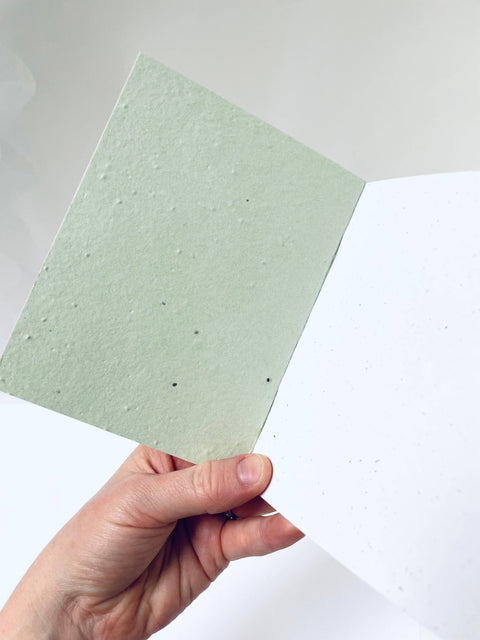 Mini Catnip Plantable Paper Notebook