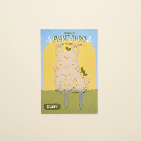 Bunny Plant Bud