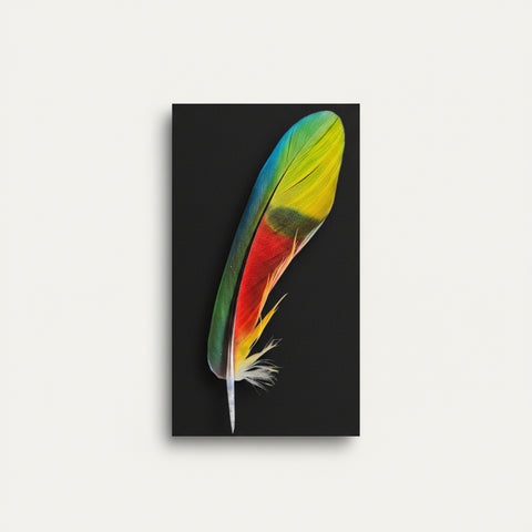 Colorful feather on a black card against a wooden background