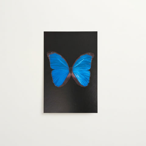 Blue Morpho Butterfly Postcard