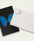 Black postcard with a blue butterfly design on a wooden surface