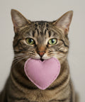 Pink heart-shaped fabric toy on a light gray background