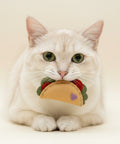 taco shaped catnip toy in a cats mouth on a beige background