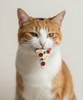 Felt pizza shaped catnip toy