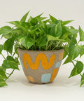 A pothos plant in a ceramic planter pot with an abstract all-over pattern. 