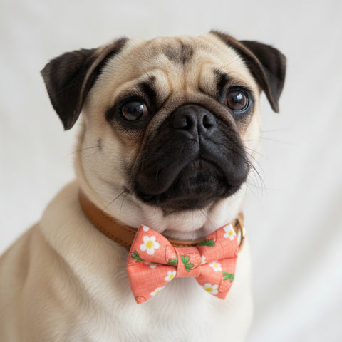 Strawberry Blossom Dog Bowtie