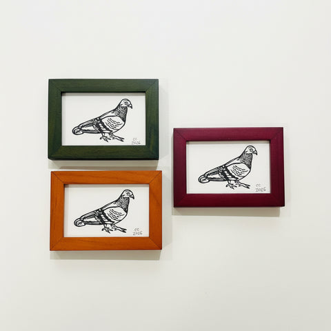 Three framed illustrations of pigeons on a wooden surface