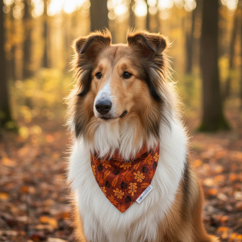 Upcycled Dog Bandana, Fall Foliage