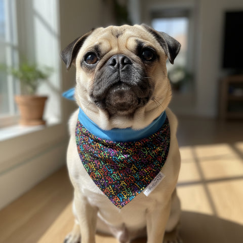 Upcycled Dog Bandana, Happy Birthday
