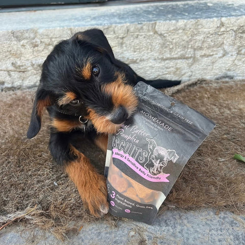 Peanut Butter Pumpkin Dog Biscuits