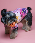Small dog wearing a colorful outfit with cartoon designs on a yellow background