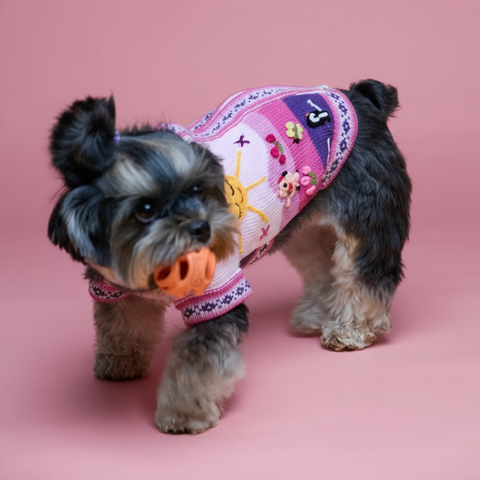 Small dog wearing a colorful outfit with cartoon designs on a yellow background