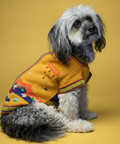 Dog wearing a colorful sweater on a yellow background
