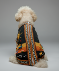 Dog wearing a colorful sweater with patterns on a plain background