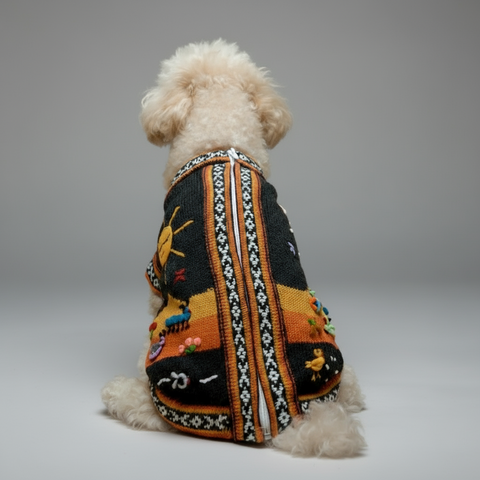 Dog wearing a colorful sweater with patterns on a plain background