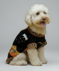 White dog wearing a colorful sweater on a grey background