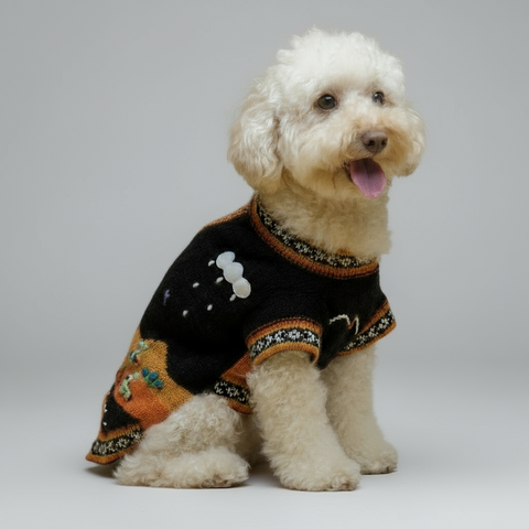 White dog wearing a colorful sweater on a grey background
