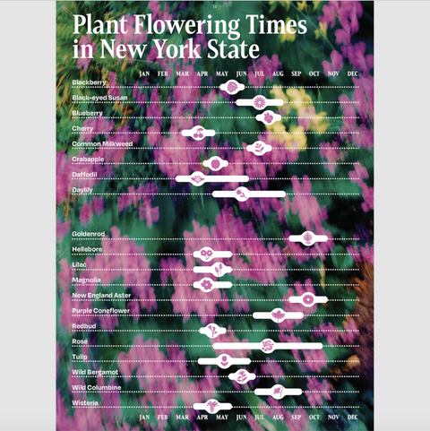 The Other Almanac 2026