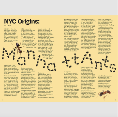 The Other Almanac 2026