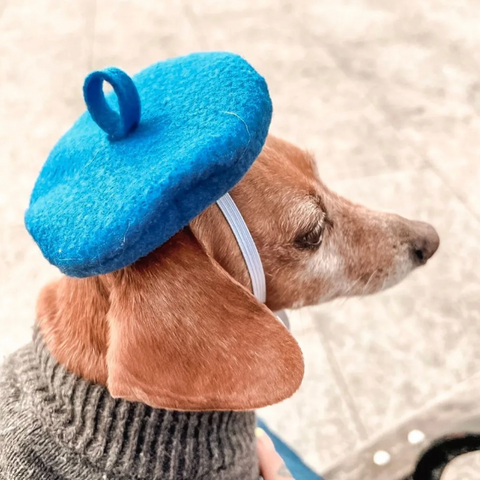 Dog Beret, Blue