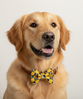 Checkered bow tie with yellow and black pattern on a white background