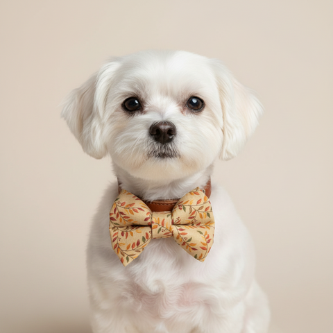 A pre-tied bow tie featuring an autumn leaf pattern in shades of orange, red, and green on a warm beige background, presented on a clean off-white studio background.