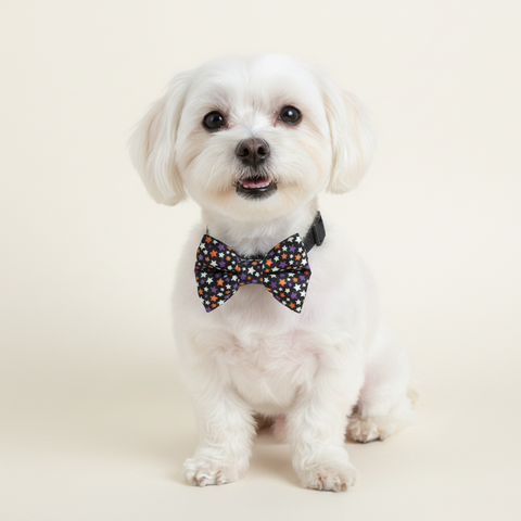 Starry Skies Dog Bowtie