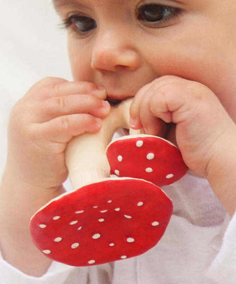 Spot the Mushroom Teether Toy