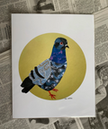 Art print of a colorful pigeon on a yellow circle with newspaper background