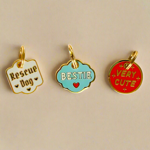 Bestie Pet Collar Charm