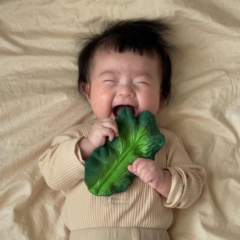 Kendall the Kale Teether Toy